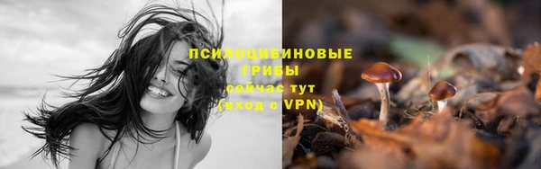 мяу мяу мука Медвежьегорск