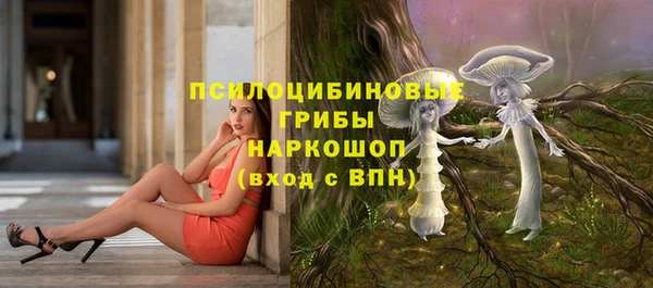 марки lsd Медногорск