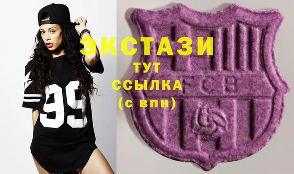 индика Беслан