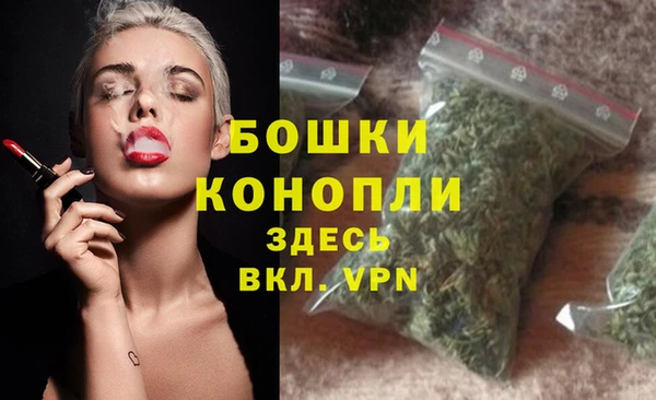 бошки Билибино